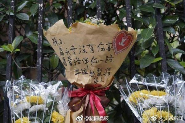 官方：布莱顿后卫埃兰